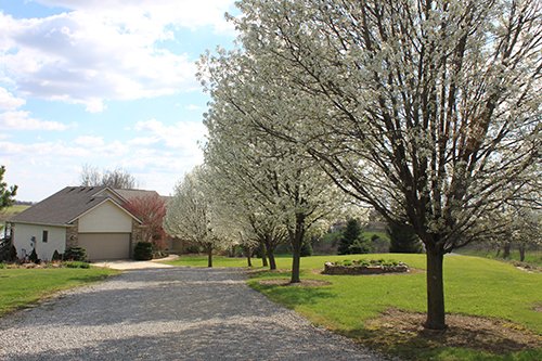 Property photo 47 - REAL ESTATE AUCTION, 163+/- Acres offered in 8 Tracts
